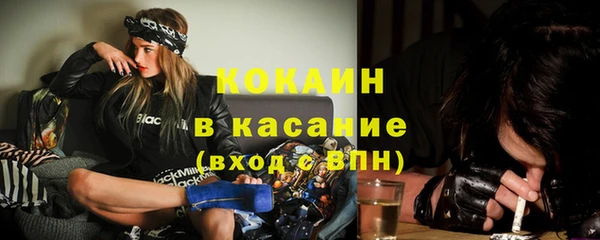 гидра Нея