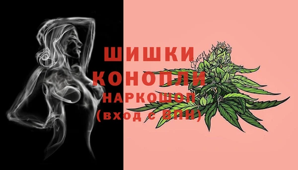 гидра Нея