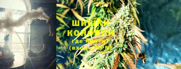 гидра Нея