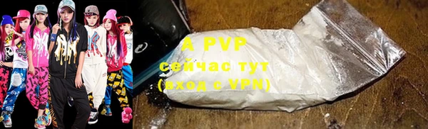 гидра Нея