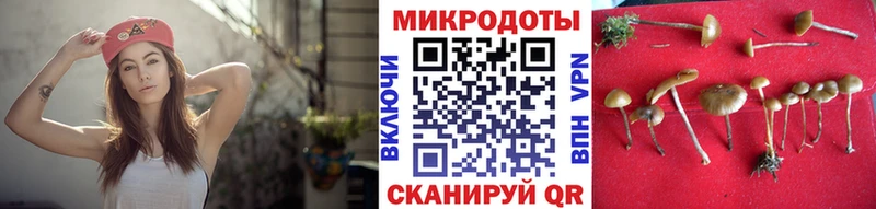 цены наркотик  Тайга  Галлюциногенные грибы Psilocybe 