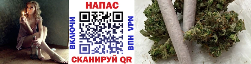 где можно купить   Тайга  Канабис THC 21% 